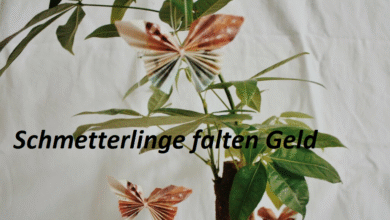 Schmetterlinge falten Geld