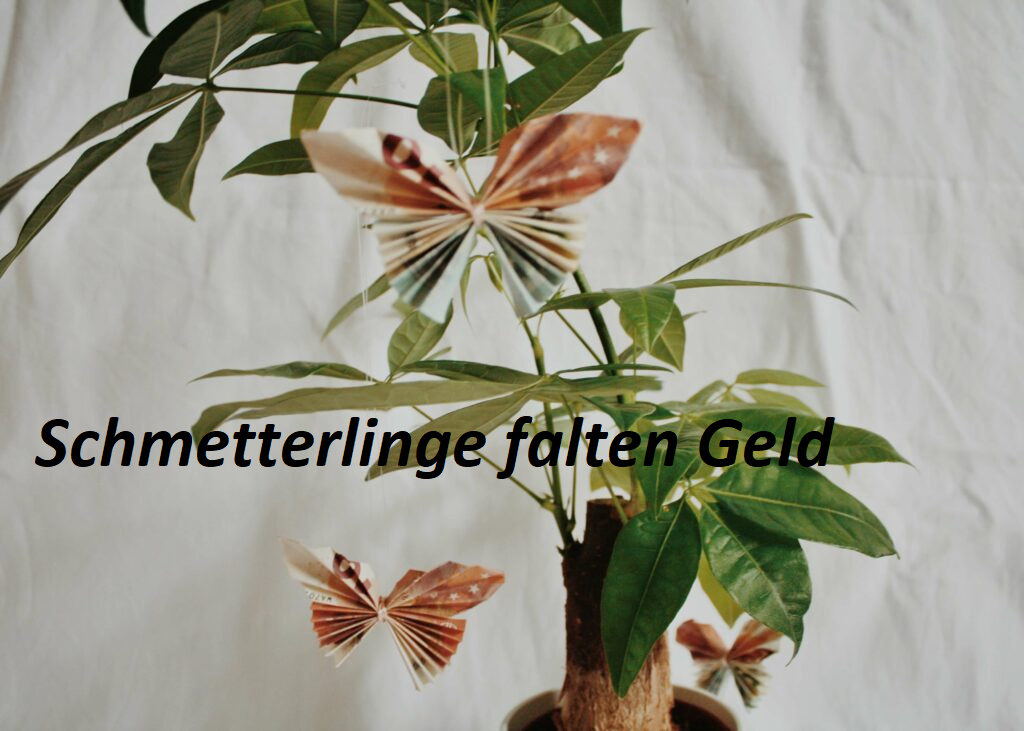 Schmetterlinge falten Geld